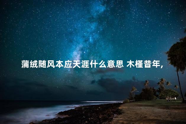 蒲绒随风本应天涯什么意思 木槿昔年,浮生未歇意思
